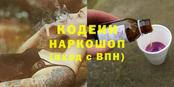 круглые Гусев