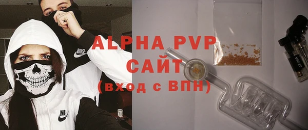 круглые Гусев
