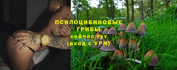 COCAINE Гусиноозёрск