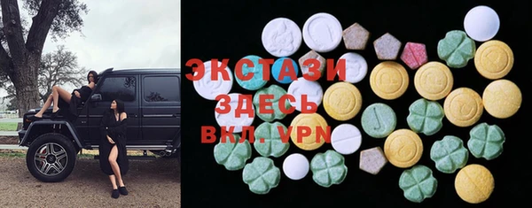 круглые Гусев