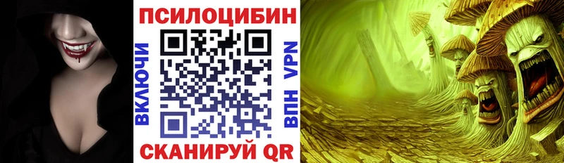 МЕГА   Венёв  Псилоцибиновые грибы мицелий 